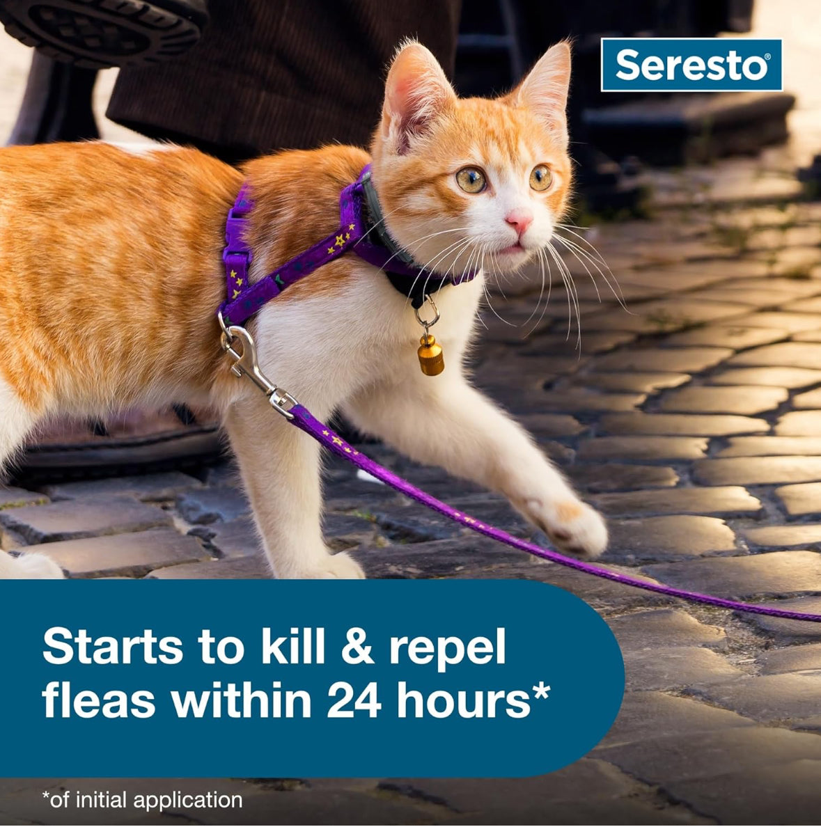 Seresto Cat Vet-Recommended Flea & Tick Treatment & Prevention Collar for Cats | 8 Months Protection - Online Swap Meet