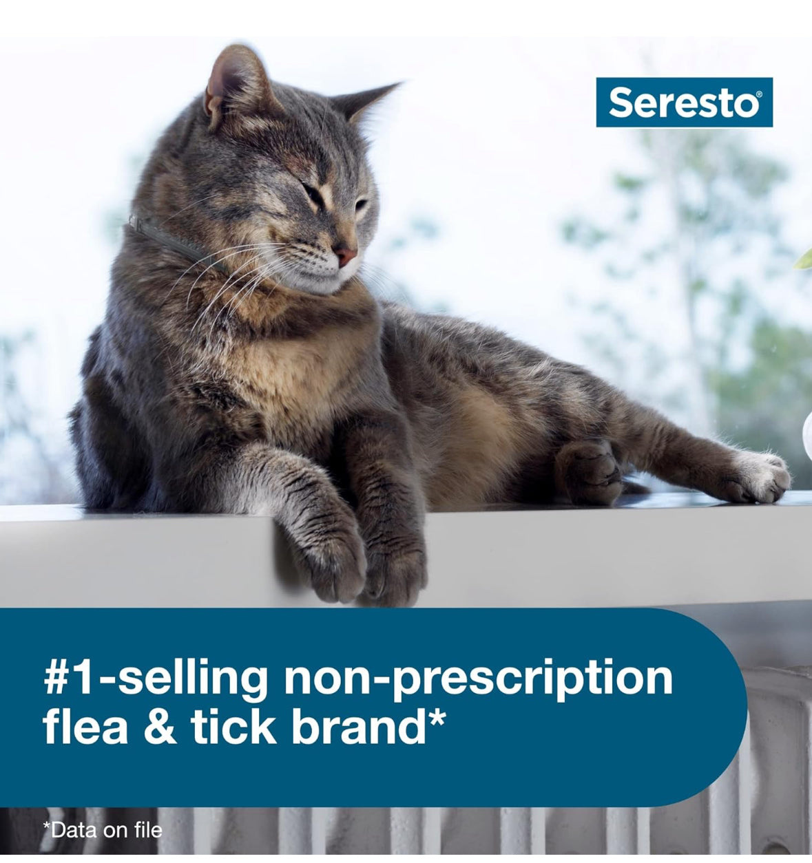 Seresto Cat Vet-Recommended Flea & Tick Treatment & Prevention Collar for Cats | 8 Months Protection - Online Swap Meet