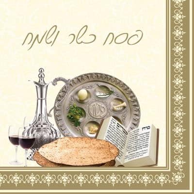 Passover Print Disposable Dinner Napkins, 20 - Online Swap Meet