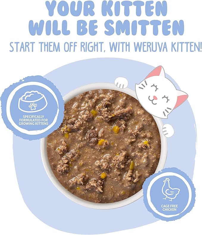 Weruva Kitten, Chicken & Pumpkin Formula in Gravy, 3oz Can (Pack of 12)
