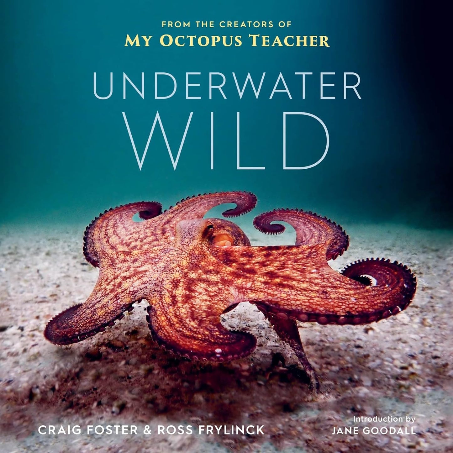 Underwater Wild: My Octopus Teacher's Extraordinary World - Online Swap Meet