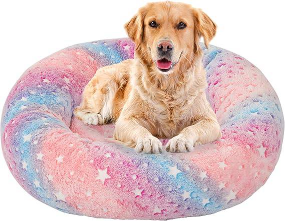 Glow in The Dark Pet Bed - Online Swap Meet