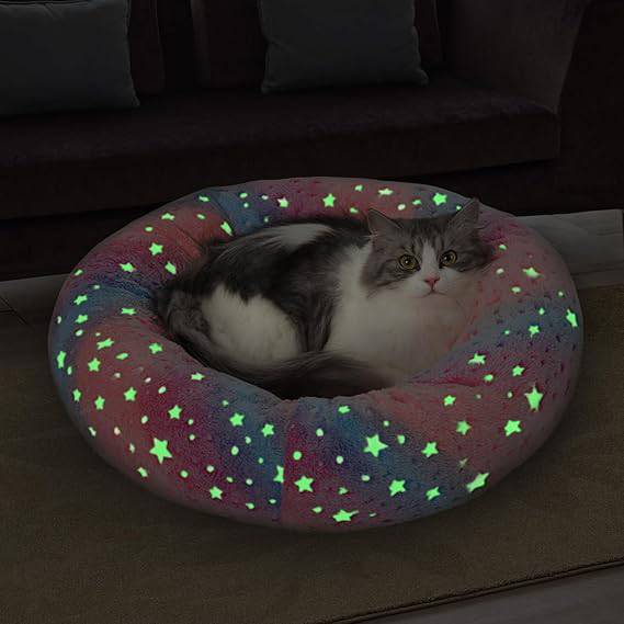 Glow in The Dark Pet Bed - Online Swap Meet